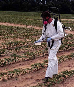 Imagen Ensayos de campo